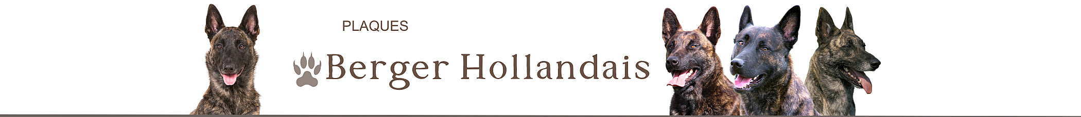 plaque berger hollandais chien panneau