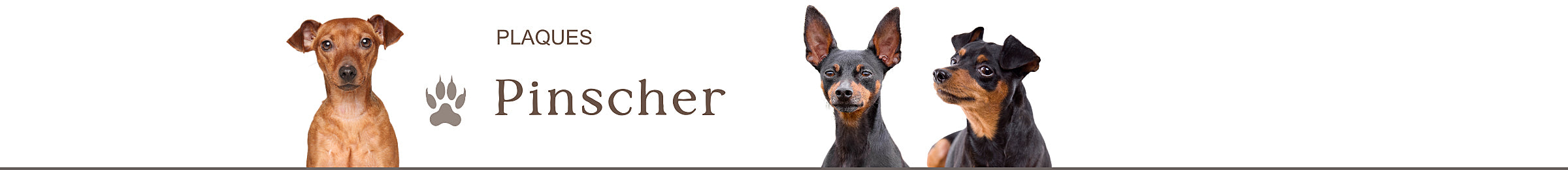 panneaux de portail pinscher attention au chien je monta la garde plaques
