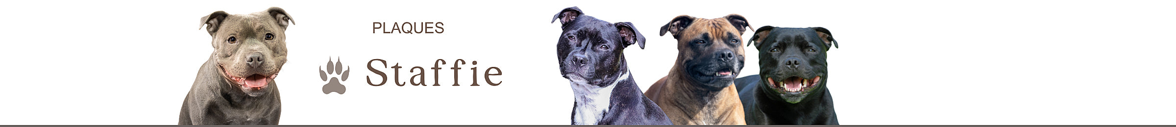 plaque staffie portail panneau portail attention au chien je monte la garde
