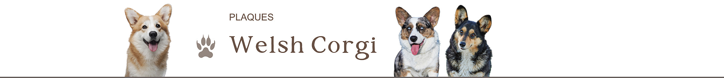 plaques welsh corgi cardigan pembroke panneau je monte la garde attention au chien portail