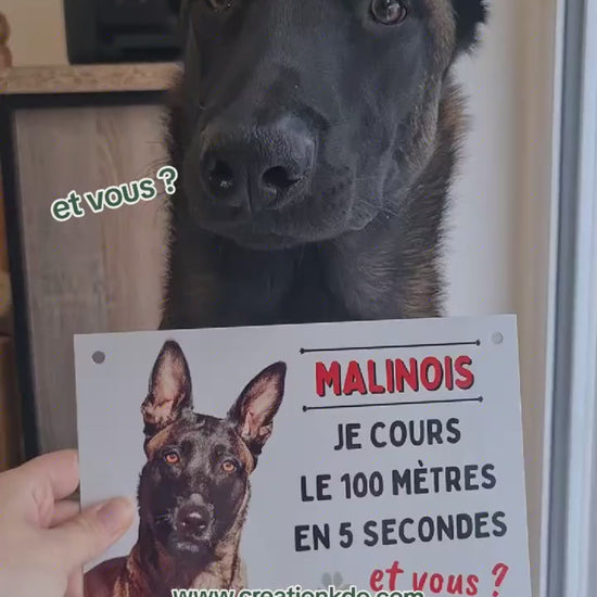 plaque portail malinois humoristique je cours le 100 mètres panneau chien tiktok