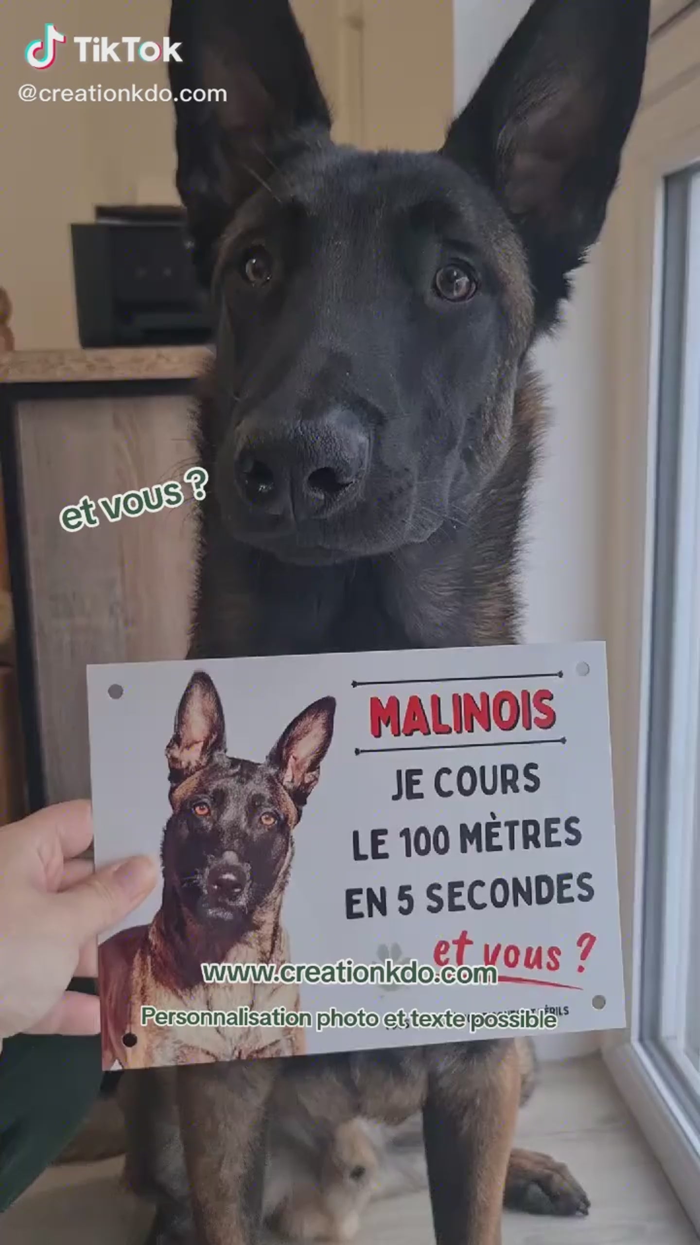 plaque portail malinois humoristique je cours le 100 mètres panneau chien tiktok