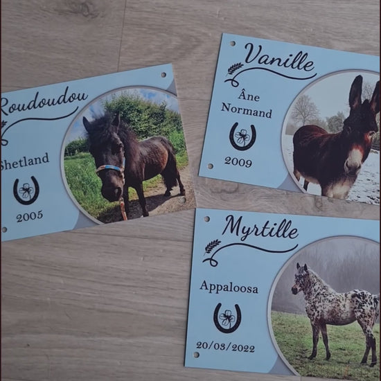 plaque de box cheval photo