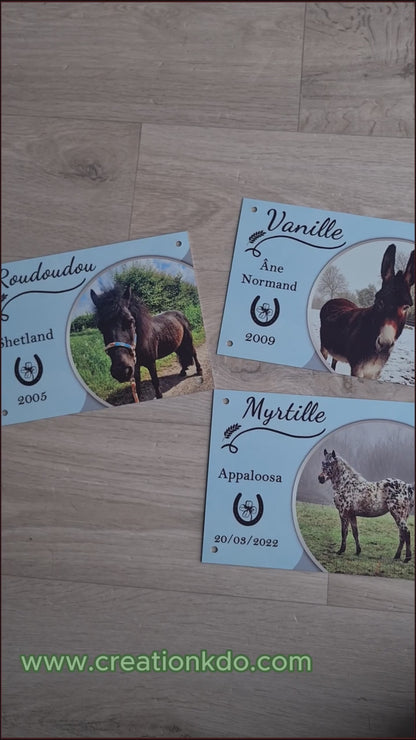 plaque de box cheval photo