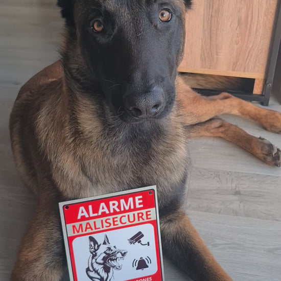 panneau portail malinois humour monte la garde malisecure plaque chien