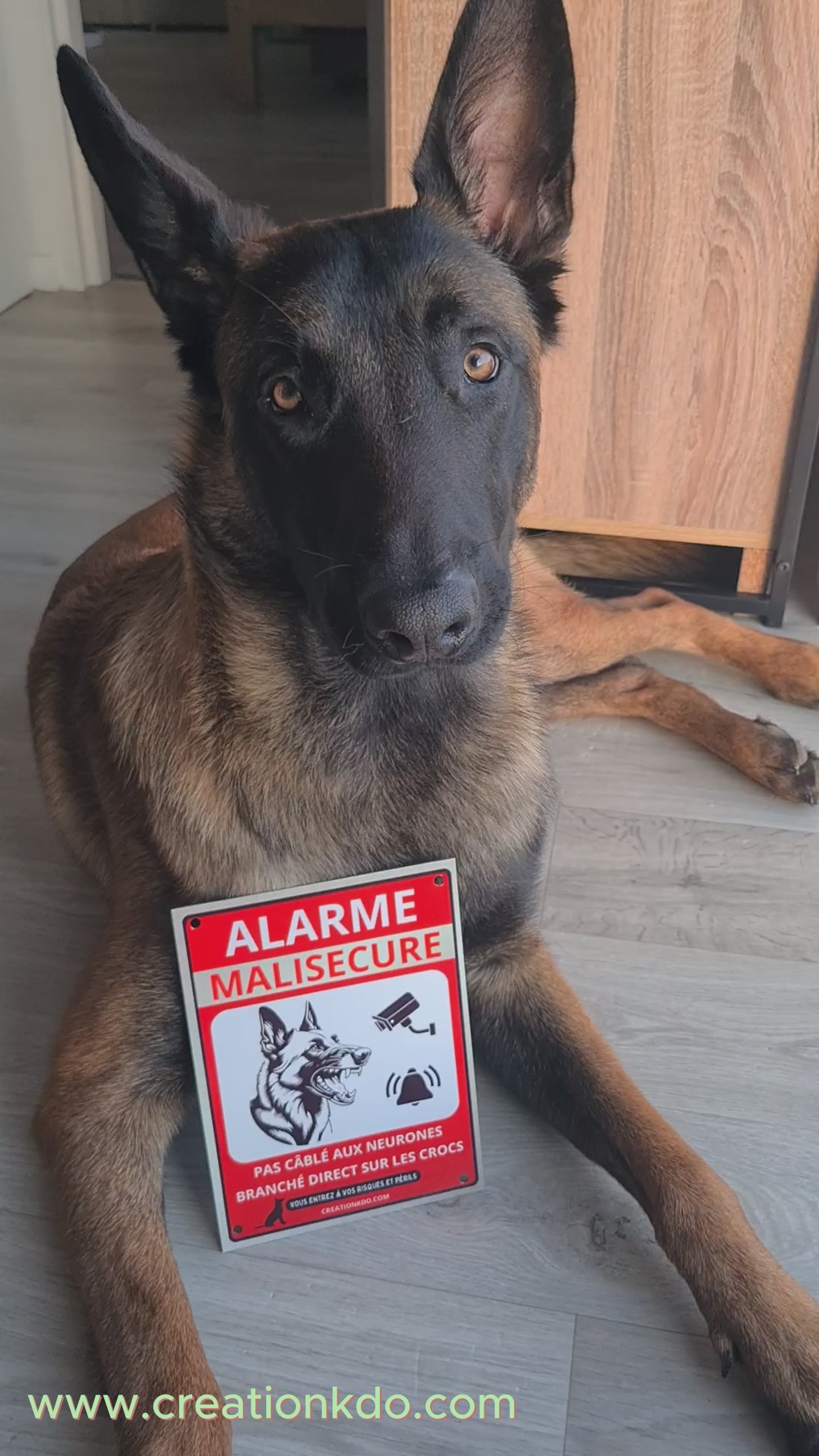 panneau portail malinois humour monte la garde malisecure plaque chien