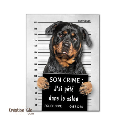 Plaque humour prisonnier Rottweiler au poste de police Panneau identité criminelle modèle 1