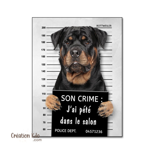 pancarte prisonnier chien personnalisée plaque panneau portail