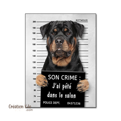 pancarte prisonnier chien personnalisée plaque panneau portail
