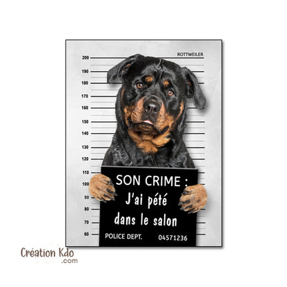 Plaque humoristique Rottweiler criminelle crime prisonnier panneau monte la garde personnalisé bêtise chien
