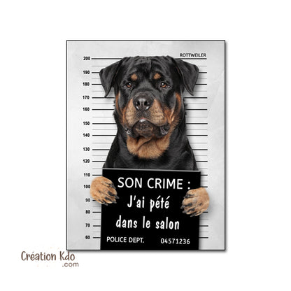Plaque humoristique Rottweiler criminelle crime prisonnier panneau monte la garde personnalisé bêtise chien
