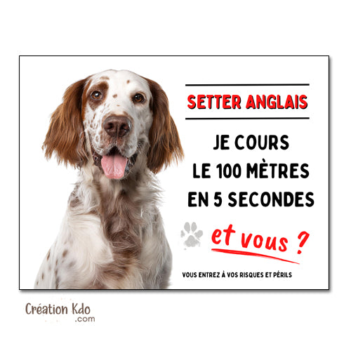 plaque humour 100 mètres setter anglais attention au chien panneau monte la garde