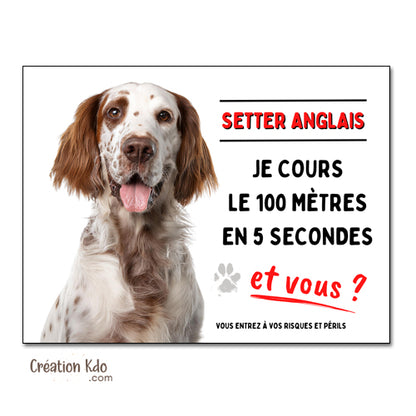 plaque humour 100 mètres setter anglais attention au chien panneau monte la garde