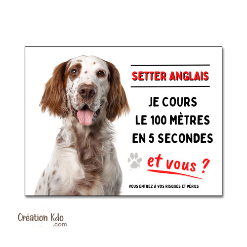 plaque humour 100 mètres setter anglais attention au chien panneau monte la garde