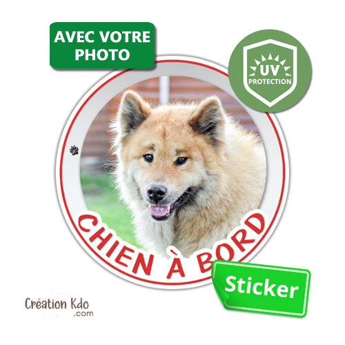sticker rond personnalisé à bord autocollant voiture disque photo chien