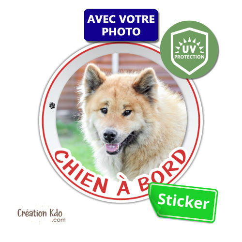 sticker rond personnalisé à bord autocollant voiture disque photo chien