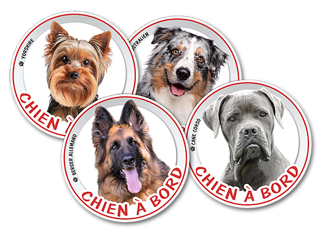 sticker chien à bord photo autocollant voiture rond 14cm personnalisable