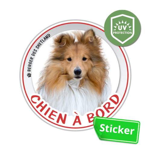 sticker rond berger des shetland fauve sable à bord autocollant voiture disque photo chien