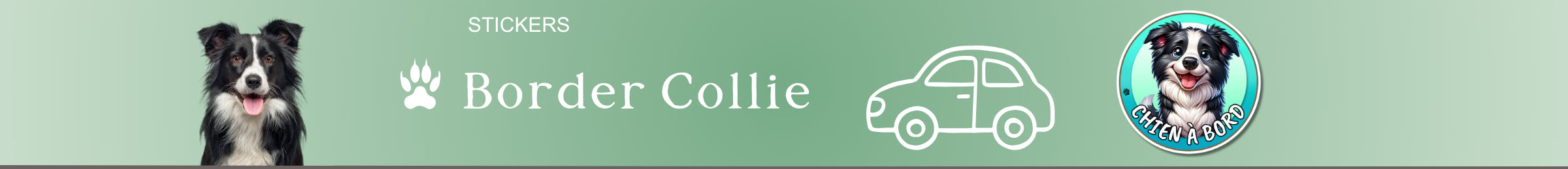 stickers border collie chien à bord autocollant pour voiture rond auto vinyle personnalisé
