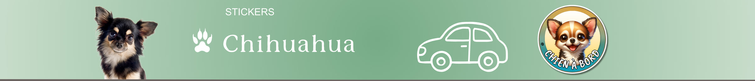 stickers chihuahua chien à bord autocollant pour voiture rond auto vinyle personnalisé