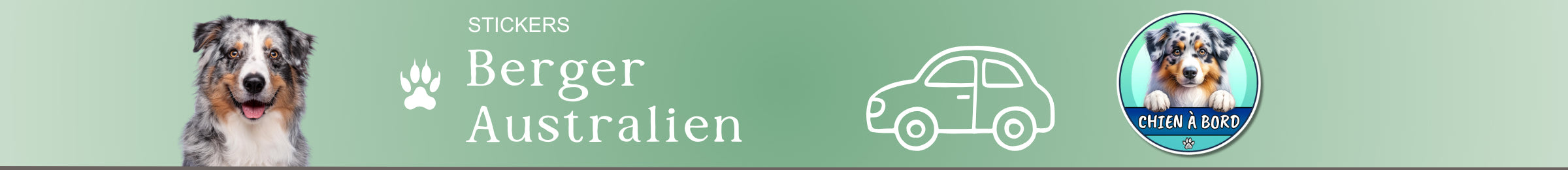 berger australien stickers chien à bord autocollant pour voiture rond auto 