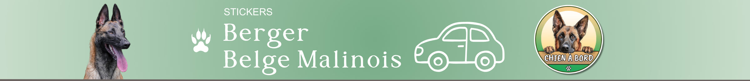stickers chien à bord autocollant pour voiture rond auto vinyle malinois