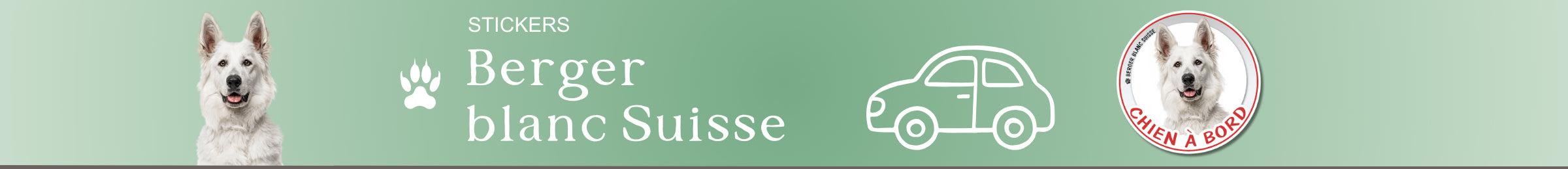 stickers berger blanc suisse chien à bord autocollant pour voiture rond auto vinyle