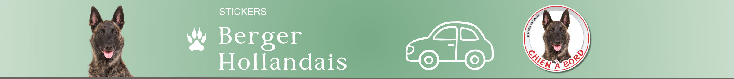 stickers chien à bord berger hollandais autocollant voiture auto rond résistant uv pluie