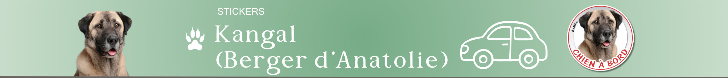 stickers kangal chien à bord autocollant pour voiture rond auto vinyle berger anatolie personnalisé