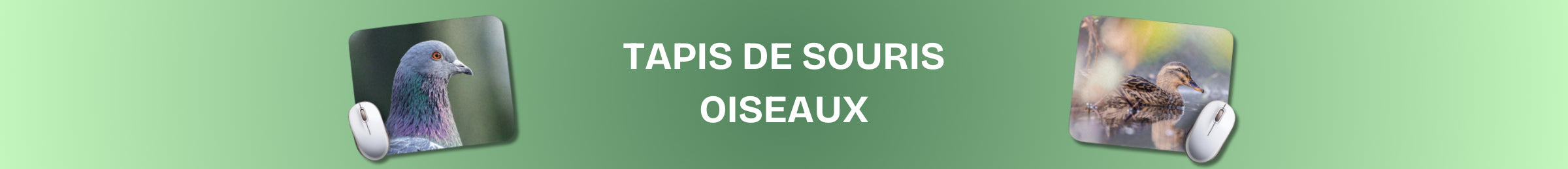 tapis de souris oiseau accessoire bureau gaming travail